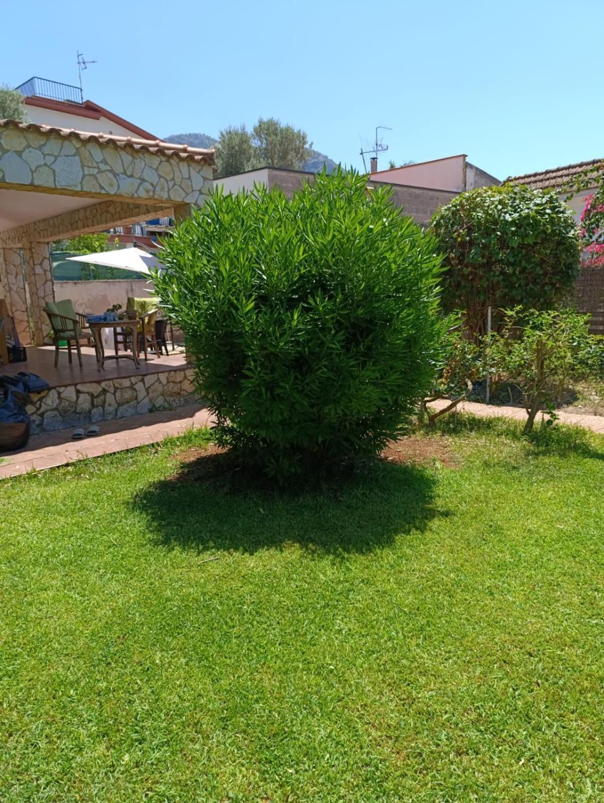 Casa In Giardino A Pochi Passi Dal Mare Villa Palermo Bagian luar foto